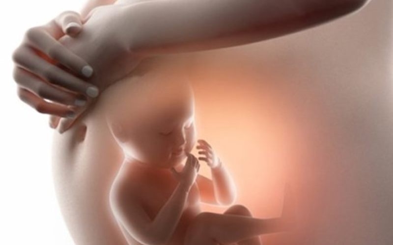 Có nhiều yếu tố ảnh hưởng đến cân nặng thai nhi