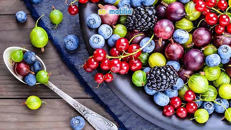 Quả mọng có ích cho sự phát triển của hệ thần kinh và trí não ở trẻ