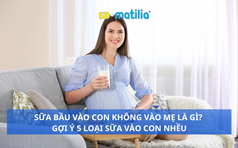 Sữa bầu vào con không vào mẹ là gì? Gợi ý 5 loại sữa bầu vào con nhiều