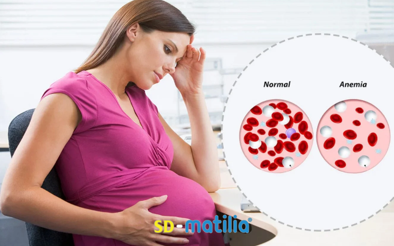 Các loại sữa bầu cho bà bầu 3 tháng đầu được tin dùng hiện nay