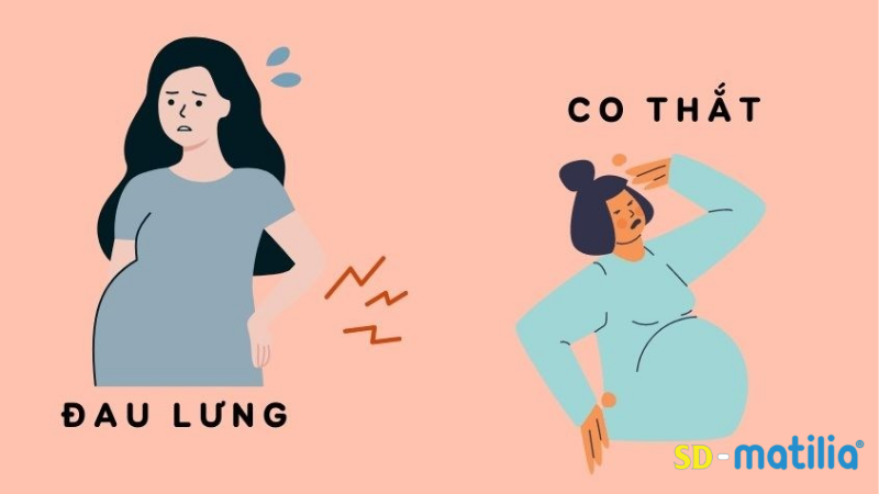 Khi chuyển dạ sắp sinh mẹ sẽ thường xuyên bị chuột rút, đau lưng