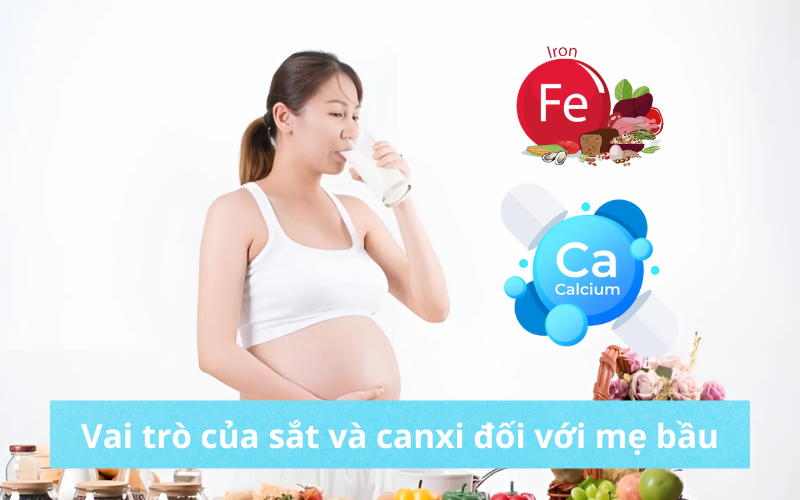 Vai trò của Sắt và Canxi đối với mẹ bầu? Sữa bầu nào bổ sung sắt và canxi?