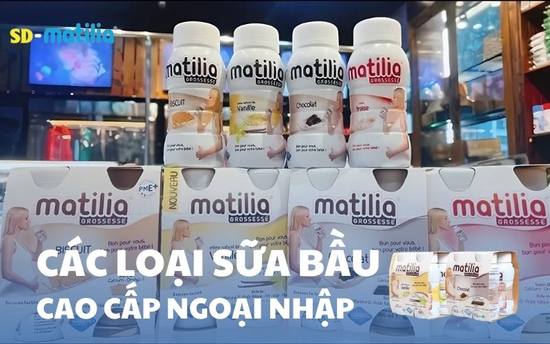 Các loại sữa bầu cao cấp ngoại nhập được tin dùng tại Việt Nam