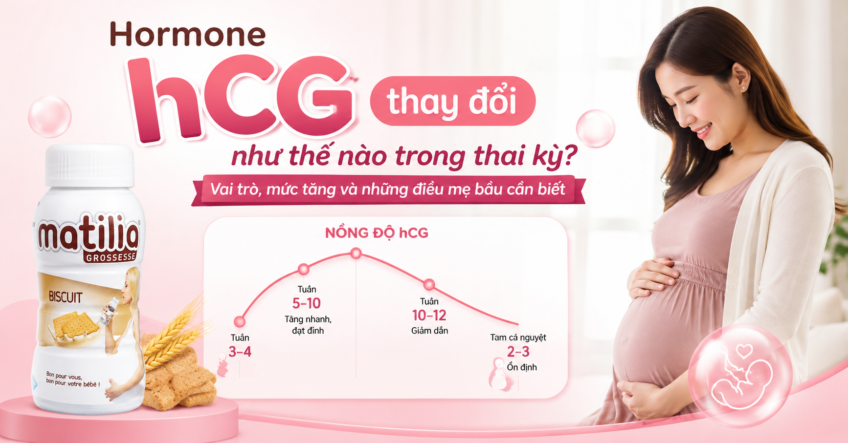 Hormone hCG Thay Đổi Như Thế Nào Trong Thai Kỳ? Vai Trò Và Ý Nghĩa Đối Với Mẹ Bầu